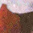 JPEG - 224.9 kio