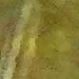 JPEG - 531.5 kio