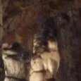 JPEG - 155.6 kio