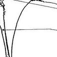 JPEG - 244.5 kio
