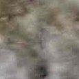 JPEG - 540.1 kio