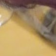 JPEG - 564.7 kio