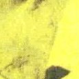JPEG - 271.4 kio