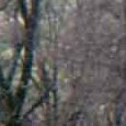 JPEG - 155.8 kio