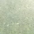 JPEG - 427.9 kio
