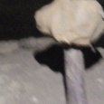 JPEG - 196.6 kio
