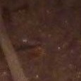 JPEG - 443.3 kio