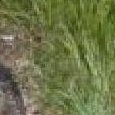 JPEG - 775.2 kio