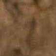 JPEG - 598.5 kio
