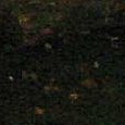 JPEG - 360.9 kio