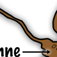 PNG - 539.4 kio
