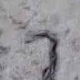 JPEG - 633.6 kio