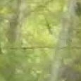 JPEG - 584.8 kio