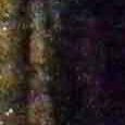 JPEG - 508.5 kio