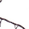 JPEG - 161.5 kio