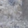 JPEG - 137 kio
