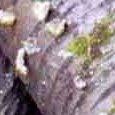JPEG - 943.6 kio