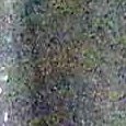 JPEG - 600.5 kio