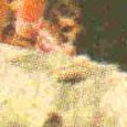 JPEG - 251.2 kio