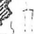 JPEG - 724.9 kio