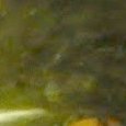 JPEG - 382.2 kio