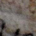 JPEG - 208.5 kio