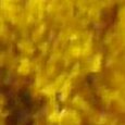 JPEG - 200.7 kio