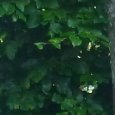 JPEG - 604.6 kio