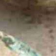 JPEG - 555.6 kio