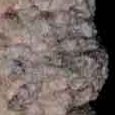JPEG - 398.3 kio