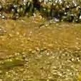 JPEG - 162.3 kio