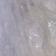 JPEG - 996.2 kio