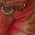 GIF - 354.9 kio