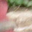 JPEG - 575.1 kio