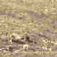 JPEG - 81.6 kio