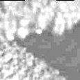 JPEG - 357.6 kio