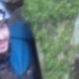 JPEG - 150.8 kio