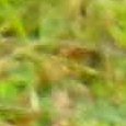 JPEG - 359.8 kio