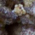 JPEG - 495.6 kio
