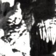 JPEG - 553.8 kio