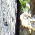 JPEG - 441.3 kio
