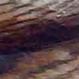JPEG - 312.5 kio
