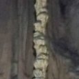 JPEG - 351.9 kio