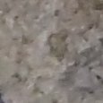 JPEG - 445 kio