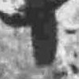 JPEG - 361.8 kio