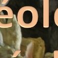 JPEG - 213.1 kio