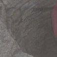 JPEG - 133.4 kio