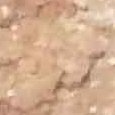 JPEG - 443.4 kio