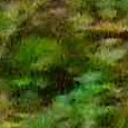 JPEG - 581.1 kio