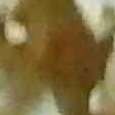 JPEG - 225.6 kio